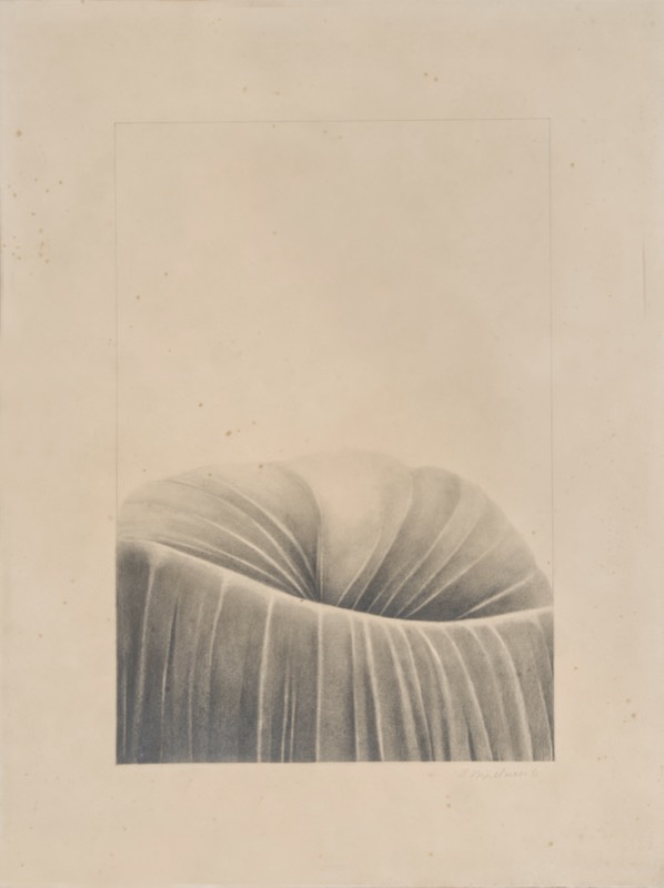 Zonder titel (1971) — Urbain Mulkers